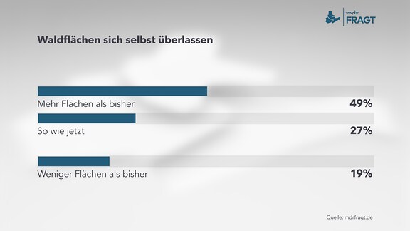 Waldflächen sich selbst überlassen   