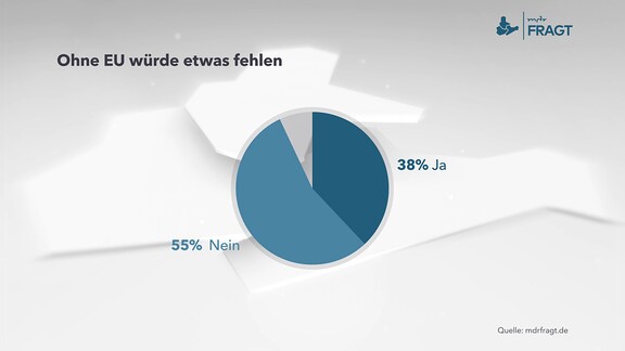 Ohne EU würde etwas fehlen