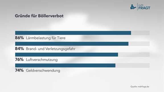 Gründe für Böllerverbot