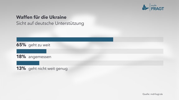 Diagramm: Waffen für die Ukraine – Sicht auf deutsche Unterstützung