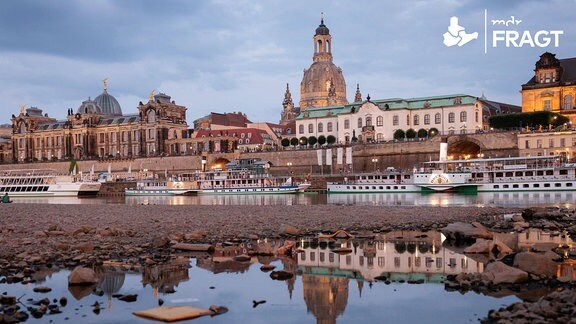 Niedrigwasser der Elbe vor der Kulisse der Altstadt von Dresden im Juli 2023. Als eine Folge des Klimawandels könnten auch in Deutschland in Zukunft häufiger Dürreperioden auftreten. 
