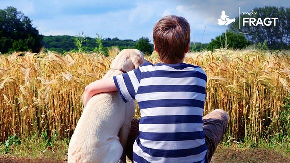 Ein Junge sitzt mit einem Hund vor einem Getreidefeld.