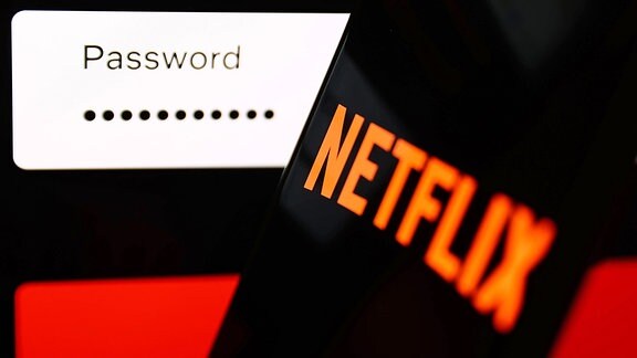 Passwort-Abfrage und Netflix-Logo