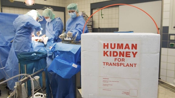 Transportbox für eine Niere bei einer Nierentransplantation