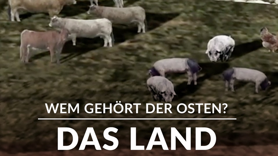 Wem gehört der Osten? Das Land MDR.DE