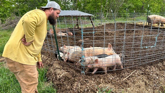 Kaleb Hanshew und seine Schweine aus der High Wall-Farm