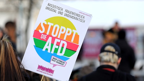Teilnehmer mit Anti AfD-Plakaten bei einer Gegendemonstration 