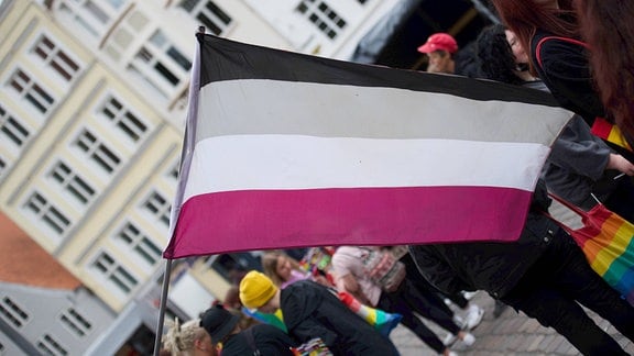 Rainbow Walk & Women™s March und Straßenfest Fahne mit Symbol Asexuell, 2022