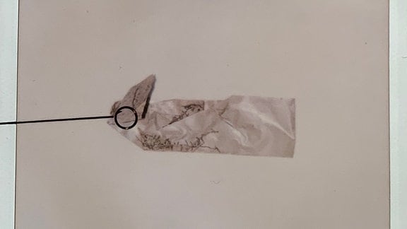 Polizeifoto eines weißen Klebebandstreifens, darunter handschriftlich: "Klebeband Spur Nr.: 11"