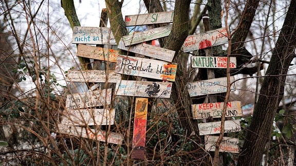 Nachrichten auf Holztafeln an einem Baum