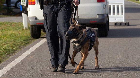 Polizeihund im Einsatz