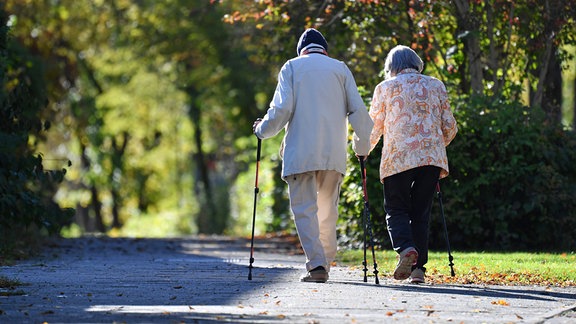 Altes Rentner-Ehepaar geht mit Nordic Walking Stoecken spazieren. 