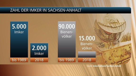 Eine Grafik zeigt die Zahl der Imker in Sachsen-Anhalt