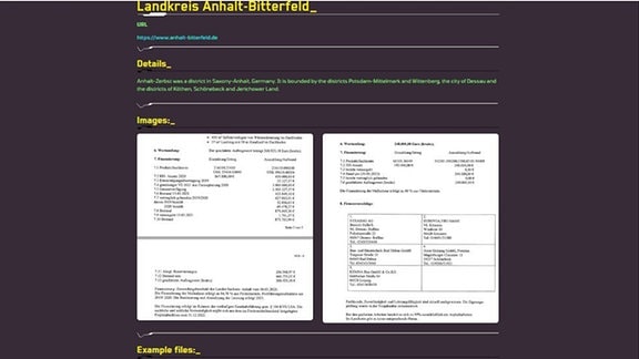 Screenshot der Darknet-Seite der Erpresser. Sie veröffentlichen 1.699 Dateien, die sie vom Landkreis Anhalt-Bitterfeld kopiert haben.