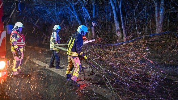 Sturmtief Ylenia fegt über Ostsachsen: VW-Fahrer erkennt umgestürzten Baum zu spät