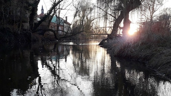 Tiefstehende Sonne an einem Fluss