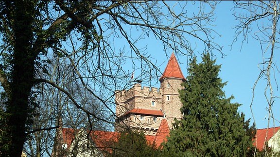 Schloss von Altenhausen