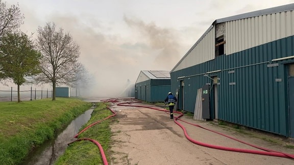 Feuerwehrmänner löschen in dichtem Rauch eine Lagerhalle.