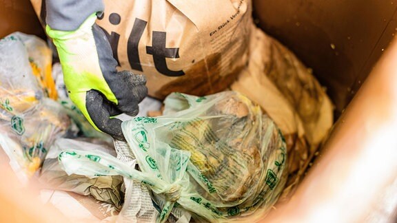 Eine Hand greift in eine Biomülltonne, in der eine Plastiktüte liegt