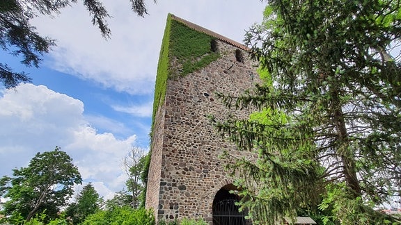 Ein alter Turm steht in einem Park