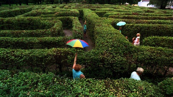Im Labyrinth des Irrgartens von Altjeßnitz versuchen Touristen 2000, sich mit Hilfe von Schirmen wiederzufinden.