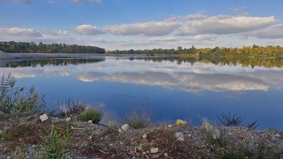 Bustour rund um den Silbersee in Wolfen