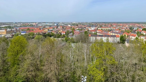 Blick auf Natur und Wohngebiet.