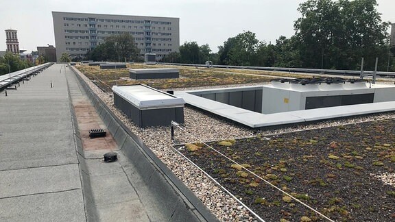 Blick auf das Dach des Bauhaus-Museums in Dessau