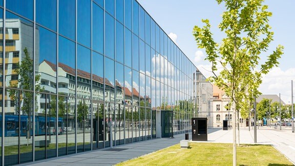 Neben der verspiegelten Fassade des Bauhaus Museums in Dessau-Roßlau stehen Bäume auf einer Grünfläche.