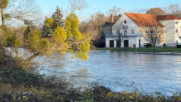 Die Mulde in Dessau bei hohem Wasserstand