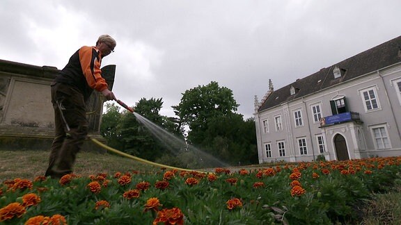 Mitarbeiterin gießt den Rasen im Wörlitzer Gartenreich