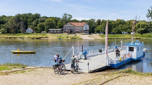 Fahrradfahrer rollen auf eine Fähre bei Coswig über die Elbe