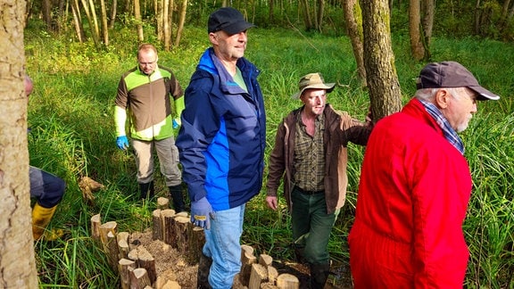 Arbeitseinsatz in der Dübener Heide