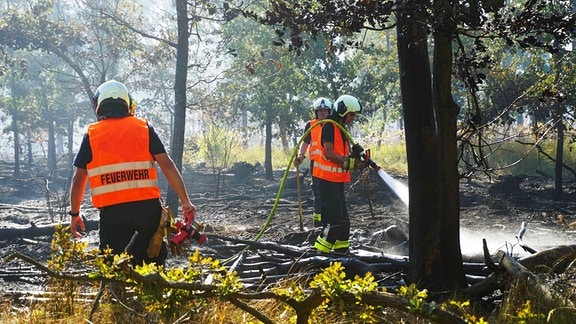 Feuerwehrleute bekämpfen in Oranienbaum-Wörlitz im Landkreis Wittenberg einen Waldbrand, der am Vortag ausgebrochen war. Mehr als 200 Einsatzkräfte sind am Samstag im Einsatz. 