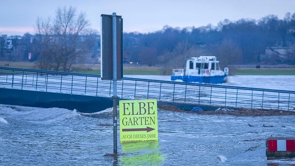 Elbehochwasser in Dresden