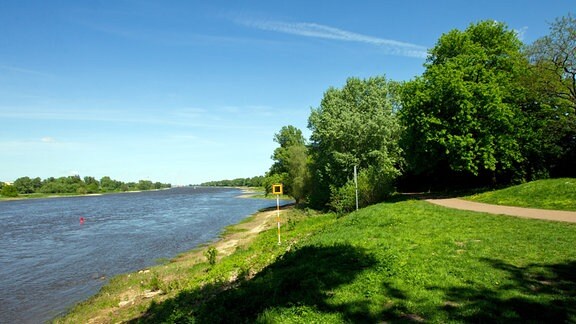 Der Elberadweg am östlichen Ufer der Elbe in Magdeburg.