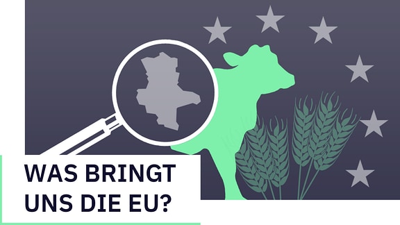 EU-Check - Was bringt uns die EU? Thema Landwirtschaft