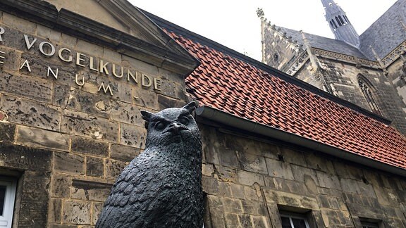 Eine dunkle Skulptur einer Eule blickt in die Kamera. Im Hintergund sind das Vogelkundemuseum und Teile des Doms zu sehen.
