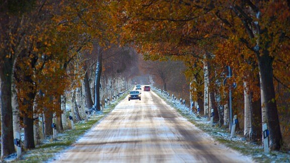 Autos fahren auf einer mit Schnee und Eis bedeckten Straße unter Bäumen hindurch die noch Herbstlaub tragen.