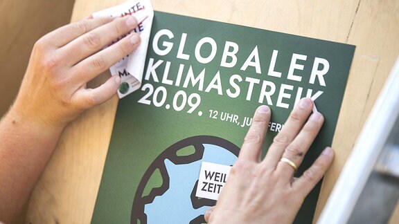 Globaler Klimastreik