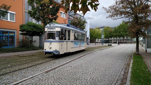 Eine Straßenbahn der Linie 4, die "Wilde Zicke", fährt in Naumburg