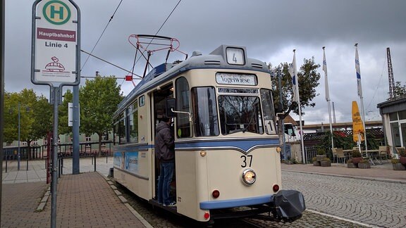 Eine Straßenbahn der Linie 4, die Wilde Zicke, steht an einer Haltestelle in Naumburg
