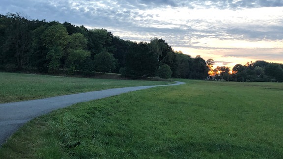 Abendstimmung: Ein Radweg führt über eine Wiese mit kleinen Wäldchen, am Horizont geht die Sonne unter