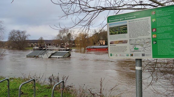 Das Hochwasser der Saale hat Teile des Blütengrundes bei Naumburg unter Wasser gesetzt.