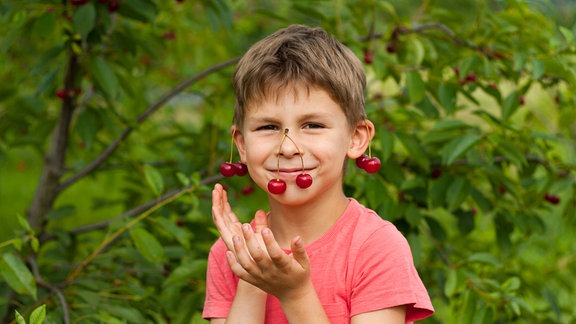 Ein Junge hat sich Kirschen über Ohren und Nase gehangen.
