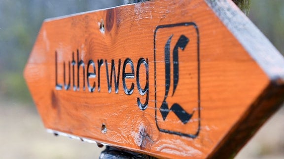 Wassertropfen sind an Wegweisern mit der Aufschrift "Lutherweg" und "Nationalpark" im Nationalpark Hainich in der Hainich-Region zu sehen. 