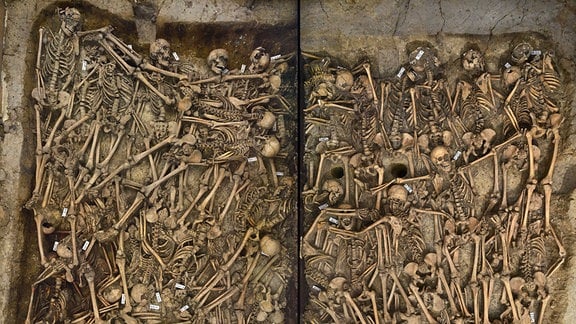 Ein Massengrab mit Skeletten.