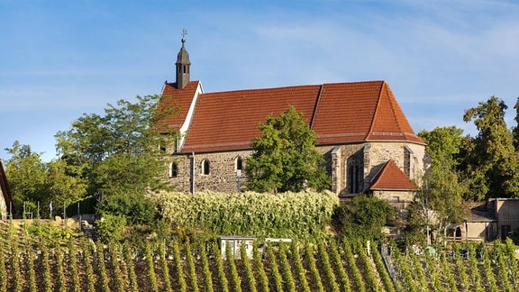 Kirche von Burgwerben oberhalb eines Weinbergs