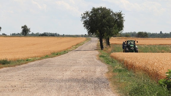 Ein breiter Schotterweg führt durch zwei Felder hindurch, am Rand steht ein Traktor