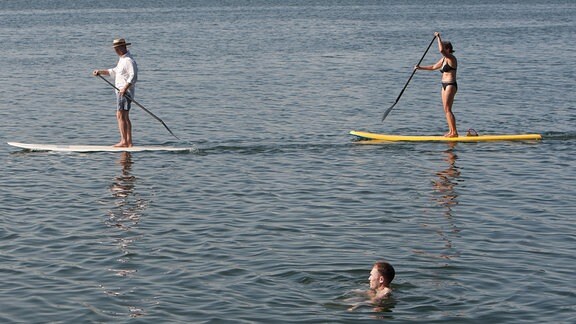 Menschen auf SUP Boards auf dem Hufeisensee in Halle